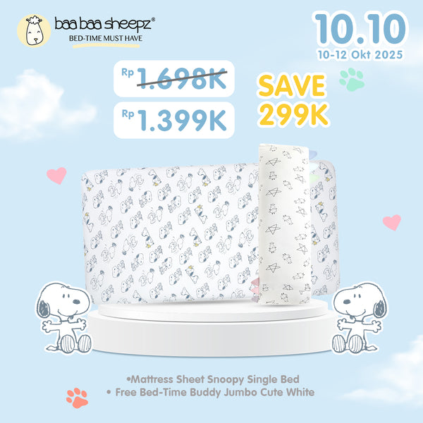 BBS Bundle Mattress Sheet Single Bed 2